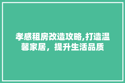 孝感租房改造攻略,打造温馨家居，提升生活品质 装修攻略
