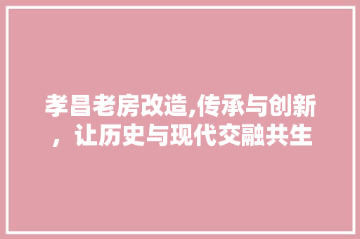 孝昌老房改造,传承与创新，让历史与现代交融共生
