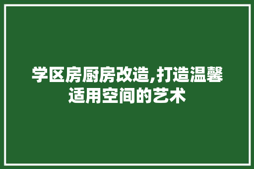 学区房厨房改造,打造温馨适用空间的艺术
