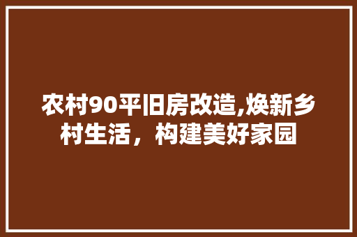 农村90平旧房改造,焕新乡村生活，构建美好家园 装修材料