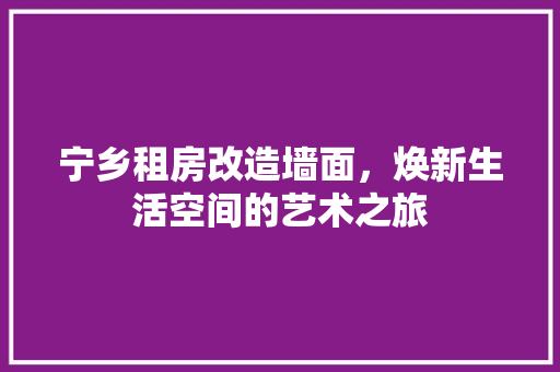 宁乡租房改造墙面，焕新生活空间的艺术之旅 隔断设计