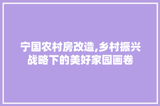 宁国农村房改造,乡村振兴战略下的美好家园画卷 墙面装饰