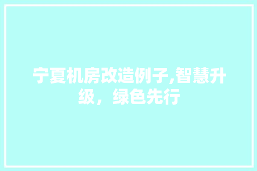 宁夏机房改造例子,智慧升级，绿色先行