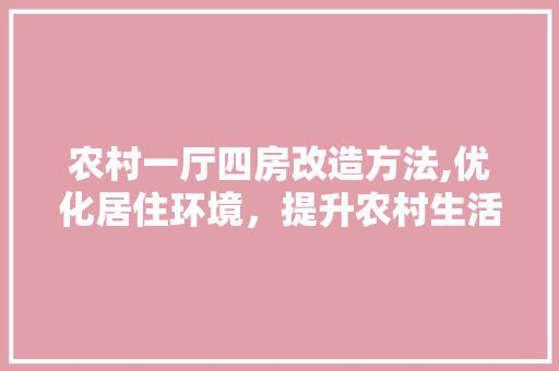 农村一厅四房改造方法,优化居住环境，提升农村生活品质
