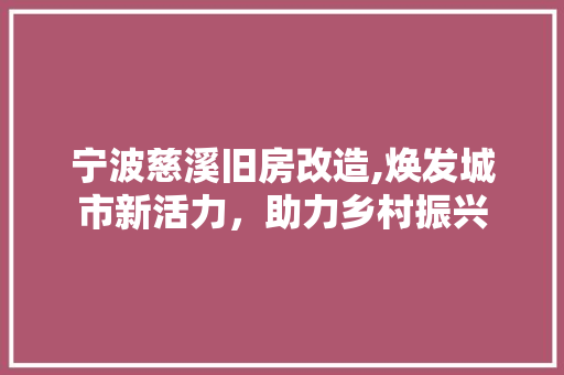 宁波慈溪旧房改造,焕发城市新活力，助力乡村振兴 庭院装修