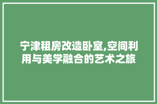 宁津租房改造卧室,空间利用与美学融合的艺术之旅