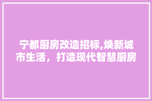 宁都厨房改造招标,焕新城市生活，打造现代智慧厨房