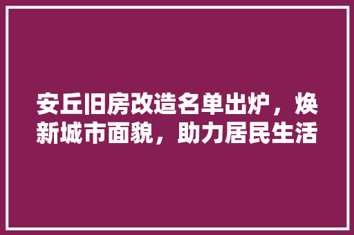 安丘旧房改造名单出炉，焕新城市面貌，助力居民生活品质提升 隔断设计