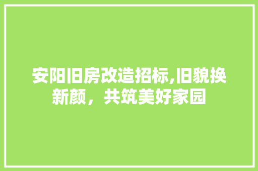 安阳旧房改造招标,旧貌换新颜，共筑美好家园