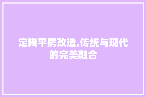 定陶平房改造,传统与现代的完美融合