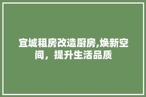 宜城租房改造厨房,焕新空间，提升生活品质