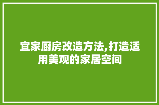 宜家厨房改造方法,打造适用美观的家居空间 装修材料