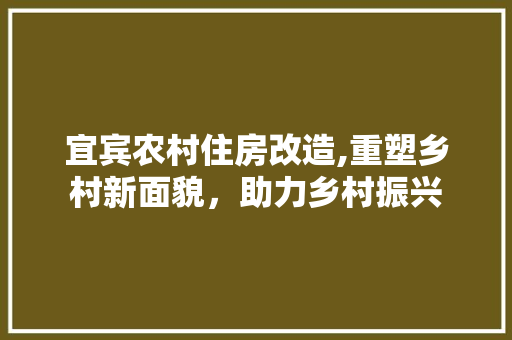 宜宾农村住房改造,重塑乡村新面貌，助力乡村振兴 装修攻略