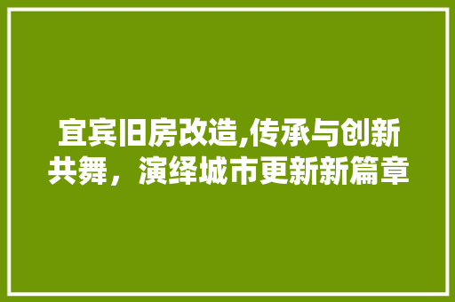 宜宾旧房改造,传承与创新共舞，演绎城市更新新篇章