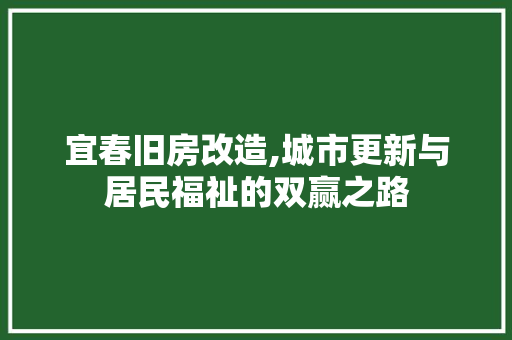 宜春旧房改造,城市更新与居民福祉的双赢之路