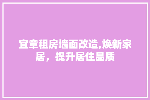 宜章租房墙面改造,焕新家居，提升居住品质 装修攻略