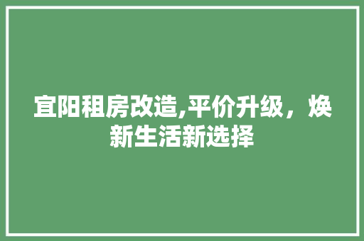 宜阳租房改造,平价升级，焕新生活新选择 景观设计