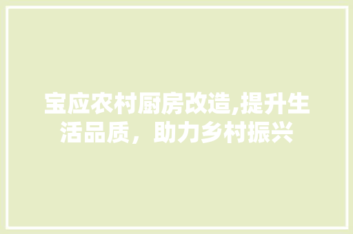 宝应农村厨房改造,提升生活品质，助力乡村振兴 庭院装修