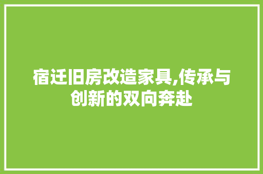 宿迁旧房改造家具,传承与创新的双向奔赴 门窗装修