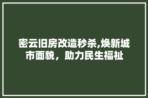 密云旧房改造秒杀,焕新城市面貌，助力民生福祉 地面装修