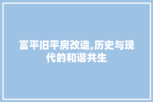 富平旧平房改造,历史与现代的和谐共生 装修材料