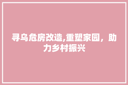 寻乌危房改造,重塑家园，助力乡村振兴 庭院装修