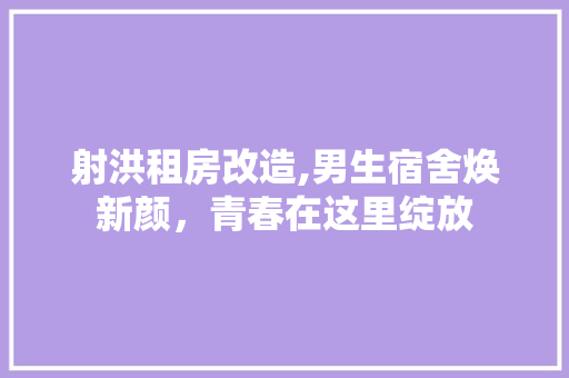 射洪租房改造,男生宿舍焕新颜，青春在这里绽放 门窗装修