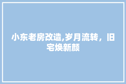 小东老房改造,岁月流转，旧宅焕新颜 门窗装修