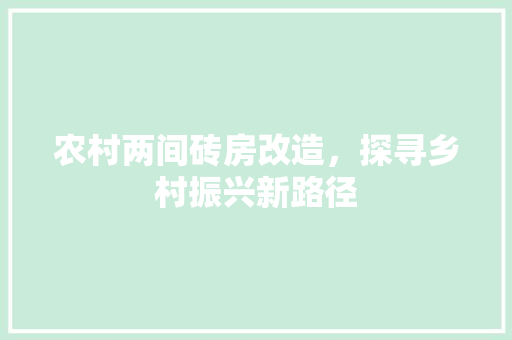农村两间砖房改造，探寻乡村振兴新路径 庭院装修
