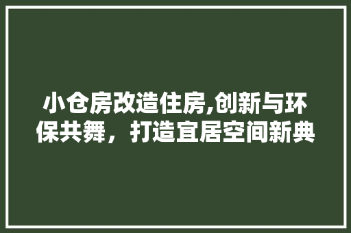 小仓房改造住房,创新与环保共舞，打造宜居空间新典范 墙面装饰
