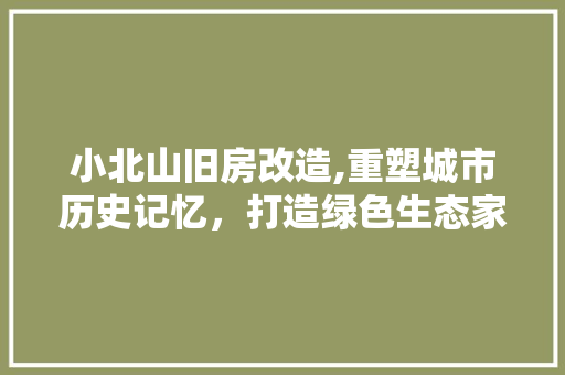 小北山旧房改造,重塑城市历史记忆，打造绿色生态家园 景观设计