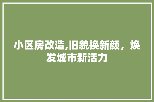 小区房改造,旧貌换新颜，焕发城市新活力 装修攻略