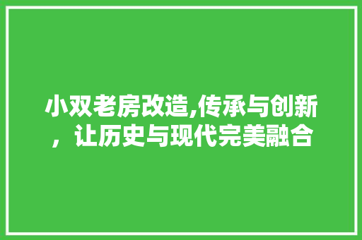 小双老房改造,传承与创新，让历史与现代完美融合 建筑设计