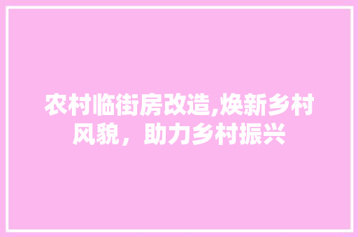 农村临街房改造,焕新乡村风貌，助力乡村振兴 装修攻略