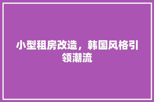 小型租房改造,韩国风格引领潮流