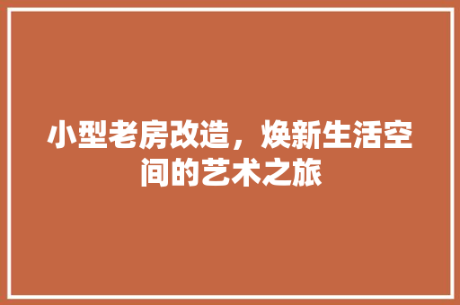 小型老房改造，焕新生活空间的艺术之旅