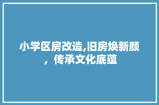 小学区房改造,旧房焕新颜，传承文化底蕴 装修材料