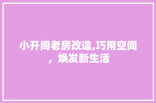 小开间老房改造,巧用空间，焕发新生活 建筑设计