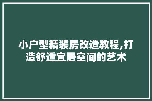 小户型精装房改造教程,打造舒适宜居空间的艺术 墙面装饰