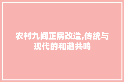 农村九间正房改造,传统与现代的和谐共鸣