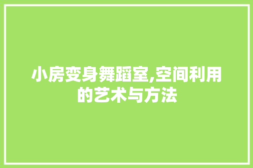 小房变身舞蹈室,空间利用的艺术与方法 墙面装饰