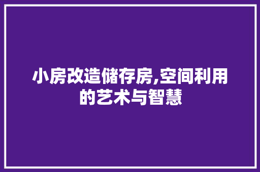 小房改造储存房,空间利用的艺术与智慧