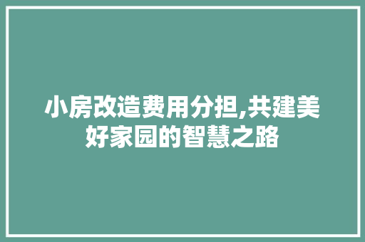 小房改造费用分担,共建美好家园的智慧之路