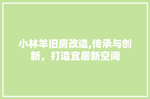 小林羊旧房改造,传承与创新，打造宜居新空间 隔断设计
