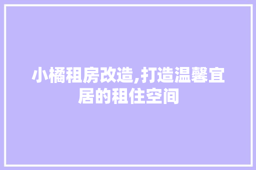 小橘租房改造,打造温馨宜居的租住空间 装修攻略