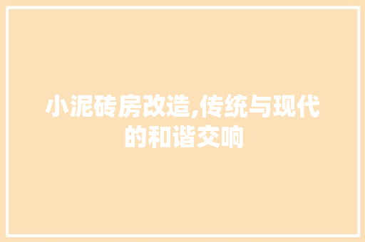 小泥砖房改造,传统与现代的和谐交响 庭院装修