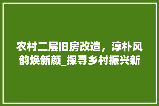 农村二层旧房改造，淳朴风韵焕新颜_探寻乡村振兴新路径