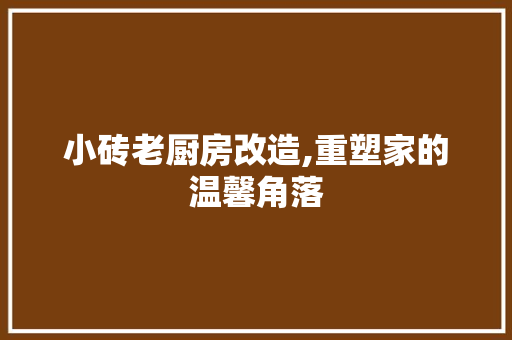 小砖老厨房改造,重塑家的温馨角落 庭院装修