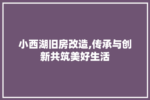 小西湖旧房改造,传承与创新共筑美好生活 装修材料