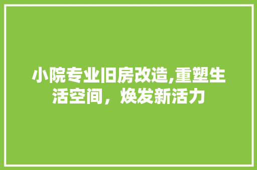 小院专业旧房改造,重塑生活空间,焕发新活力 地面装修 小院专业旧房改造,重塑生活空间,焕发新活力 地面装修